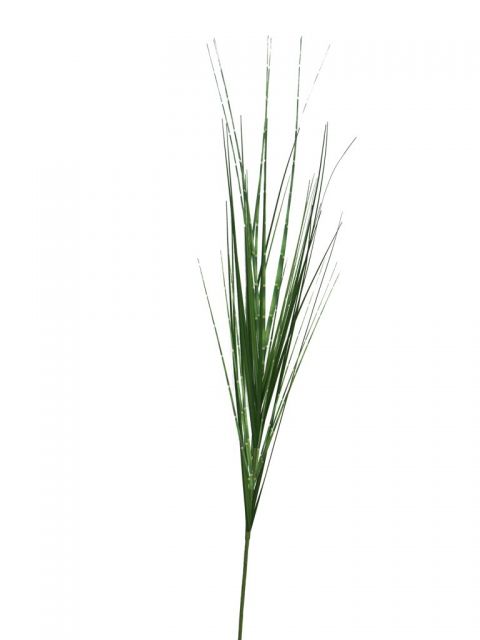 Ветка декоративная KINGFESTUCA