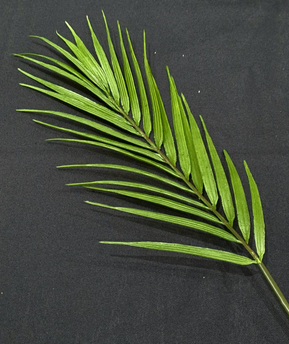 Ветка декоративная Palm